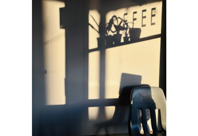 優しい夕陽を浴びて穏やかな時間を